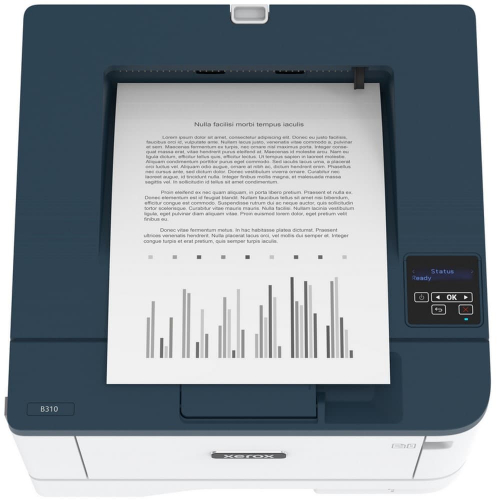 Принтер Xerox B310 A4 (B310V_DNI) фото 8