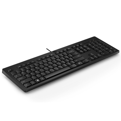 Проводная клавиатура HP 125 (266C9AA#ACB)