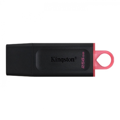 Флеш накопитель Kingston 256GB DataTraveler Exodia USB 3.2 Gen 1 черный/ красный (DTX/ 256GB) (DTX/256GB)