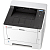 Принтер Kyocera P2040dw (1102RY3NL0)