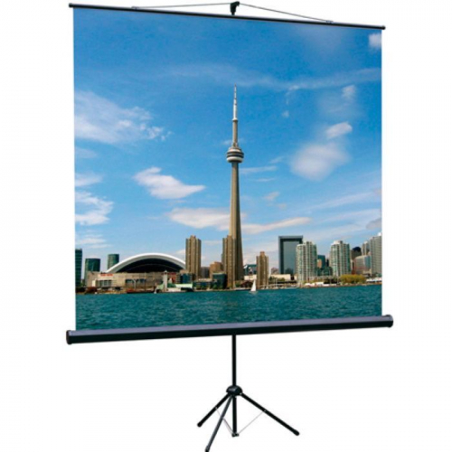 Экран на штативе Lumien Eco View 1:1 160 x 160 см, рабочая область 160x160 см, Matte White, черный (LEV-100105)